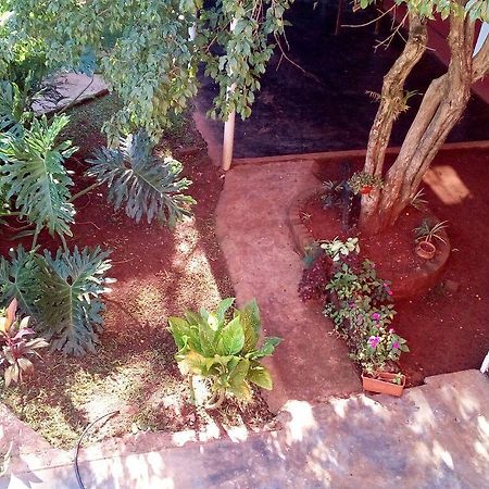 فندق بويرتو إجوازوفي  La Cautiva المظهر الخارجي الصورة